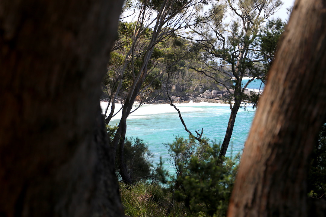 Beach, White Sands Walk, Jervis Bay, New South Wales